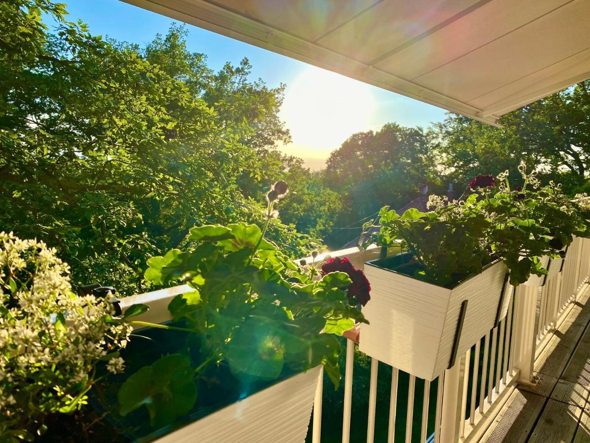 דרזדן Ferienwohnung Natur Und Kunst מראה חיצוני תמונה