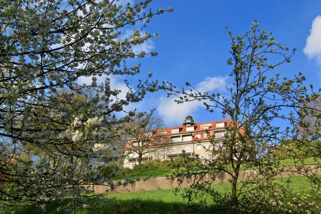 דרזדן Ferienwohnung Natur Und Kunst מראה חיצוני תמונה