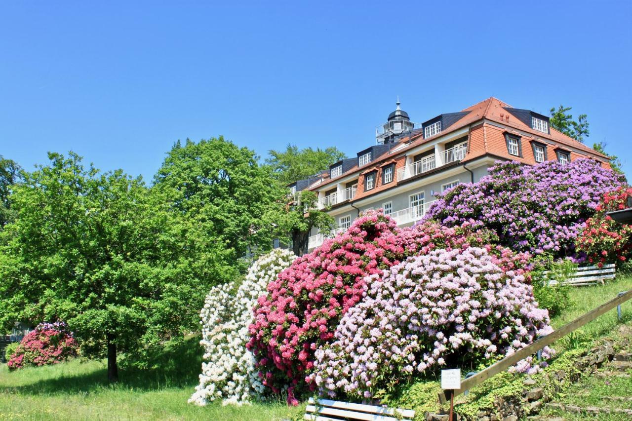 דרזדן Ferienwohnung Natur Und Kunst מראה חיצוני תמונה