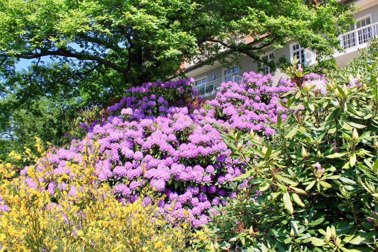דרזדן Ferienwohnung Natur Und Kunst מראה חיצוני תמונה